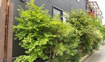 道路に飛び出した植栽を整備してきました！東京都大田区｜アパート清掃