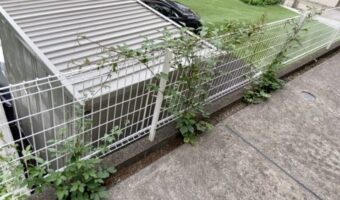 アパートに巡回清掃に行ってまいりました｜東京都練馬区